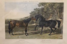 After J F HERRING SNR, The British Stud, Rebecca and Muley Moloch, print, framed and glazed. 94.