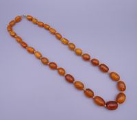 A string of 31 butterscotch amber beads. 67 cm long. 73.1 grammes total weight.