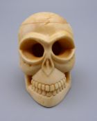 A bone model skull. 4 cm high.