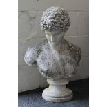 A large bust of a classical male figure. 71 cm high.