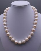 A string of large pearls with a 14 ct gold clasp. Approximately 40 cm long.