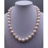 A string of large pearls with a 14 ct gold clasp. Approximately 40 cm long.