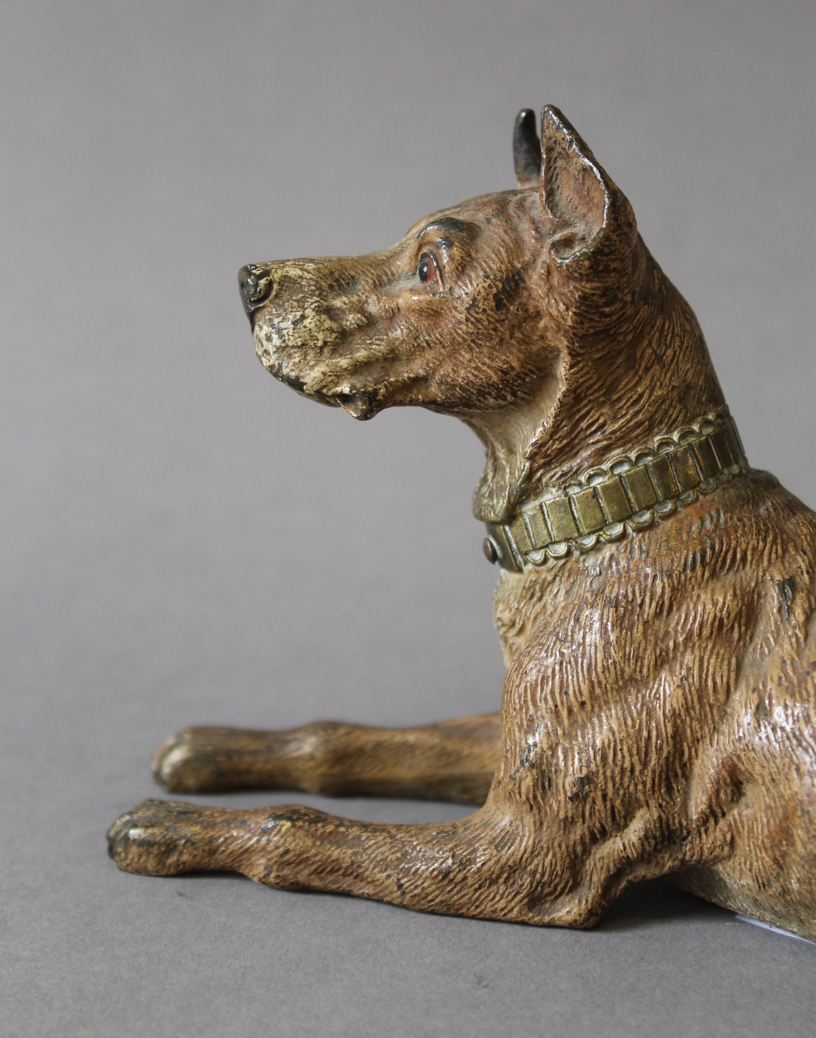 A late 19th/early 20th century cold painted bronze model of a dog. 18 cm long. - Image 2 of 3