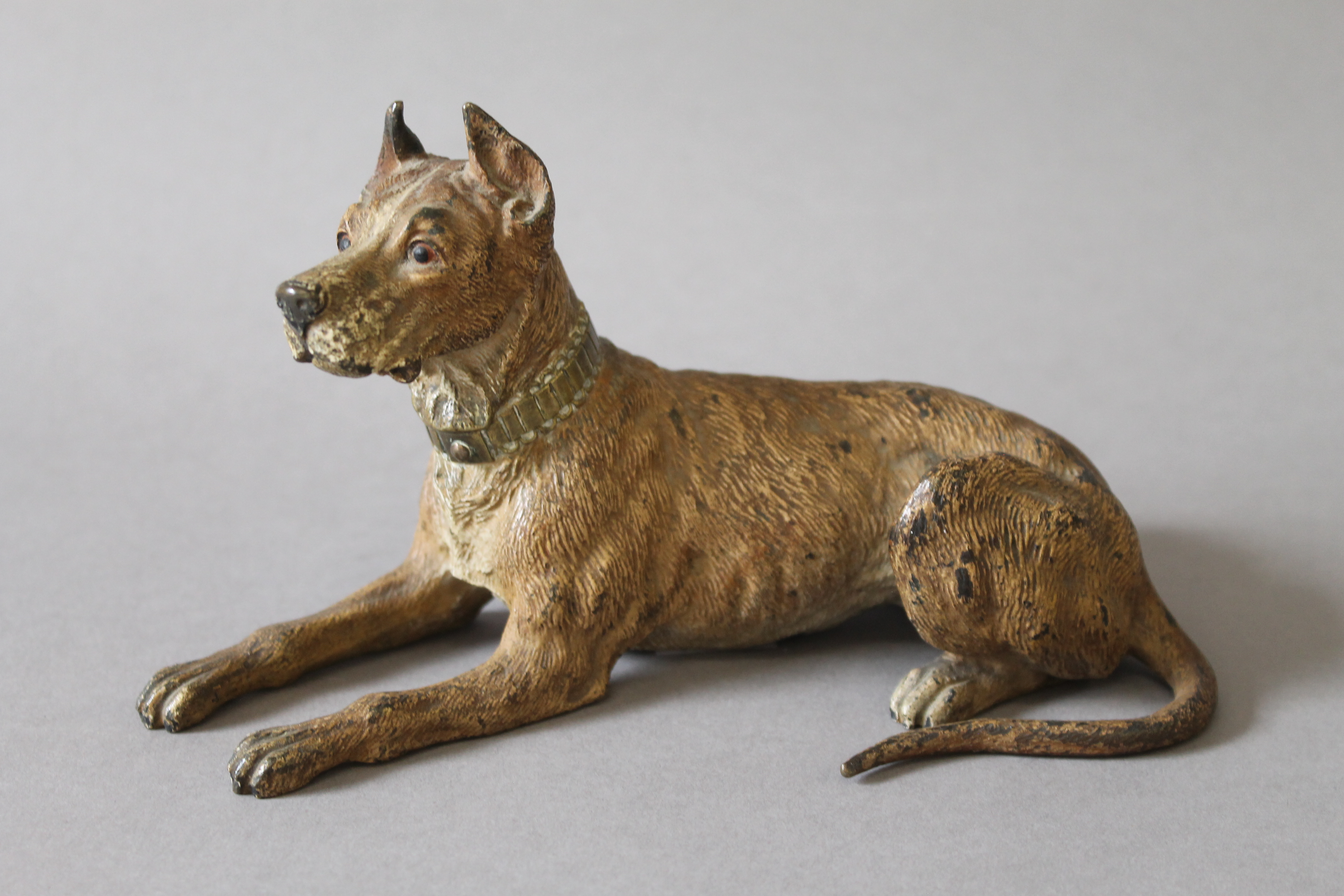 A late 19th/early 20th century cold painted bronze model of a dog. 18 cm long.