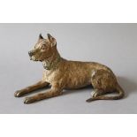 A late 19th/early 20th century cold painted bronze model of a dog. 18 cm long.
