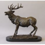 A bronze model of a stag. 40.5 cm high.