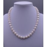 A pearl necklace with a diamond and pearl set unmarked white gold clasp. 38 cm long.