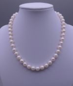 A pearl necklace with a diamond and pearl set unmarked white gold clasp. 38 cm long.