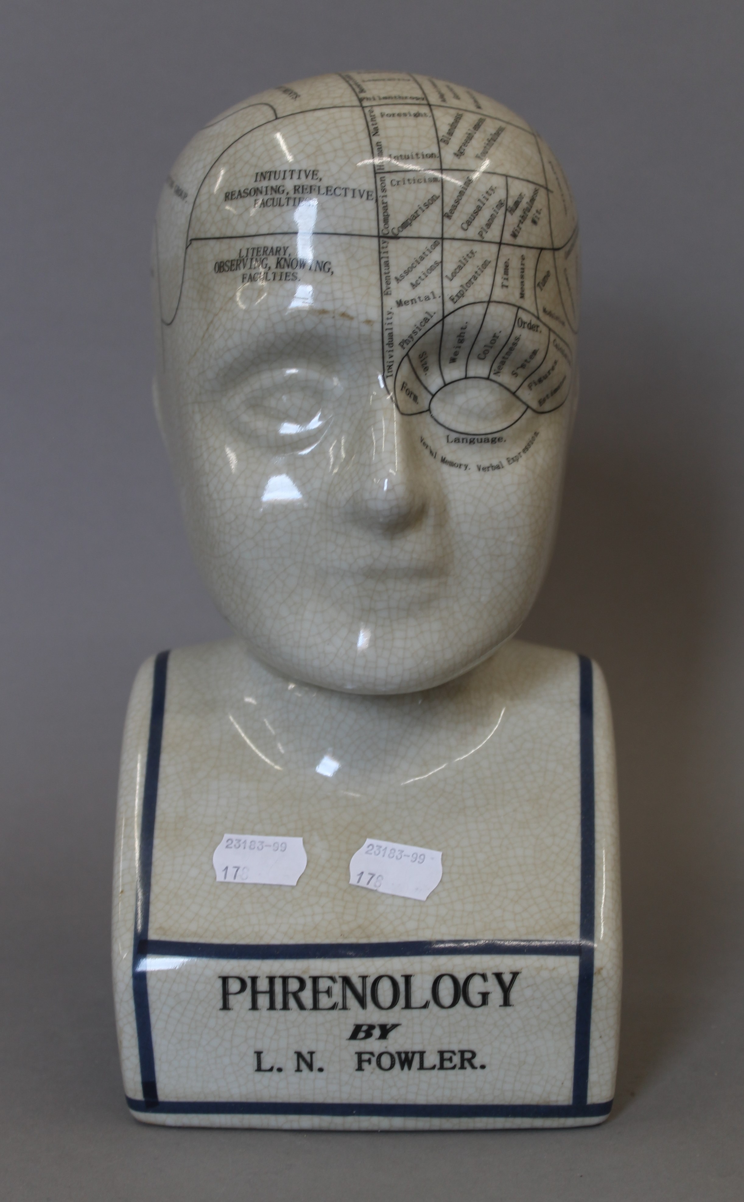 A model of a phrenology bust. 29 cm high.