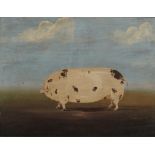 Pig, oil on board, signed P J GIRTIN, housed in a rosewood frame. 67 x 57.5 cm overall.