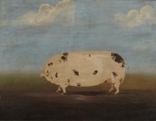 Pig, oil on board, signed P J GIRTIN, housed in a rosewood frame. 67 x 57.5 cm overall.