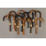 A quantity of walking stick/parasol handles.