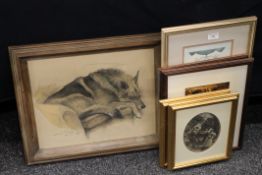 A pencil and wash sketch of an Alsatian, indistinctly signed and dated 58,