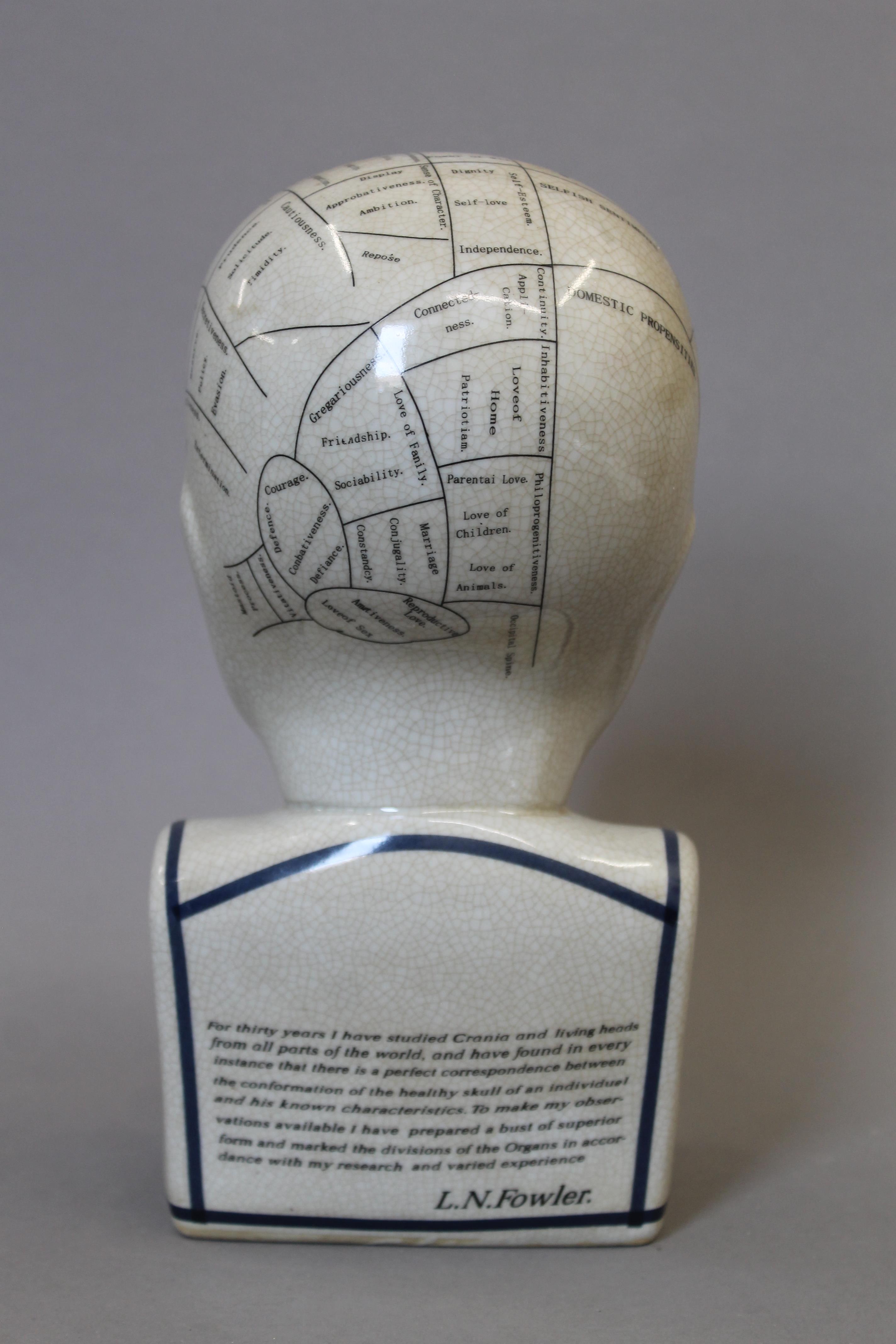 A model of a phrenology bust. 29 cm high. - Image 3 of 3