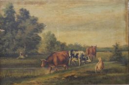 N WERSON, Cattle and Goat, oil on canvas, signed, framed. 46 x 30 cm.