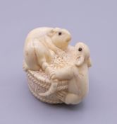 A carved bone netsuke formed as rats on a barrel. 3 cm high.