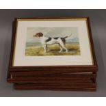 A set of eight 19th century prints of Dogs, each framed and glazed. Each 33 x 28.5 cm.