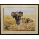 CHARLES CLIFFORD TURNER, Leader of the Elephant Herd, watercolour, signed, framed and glazed.