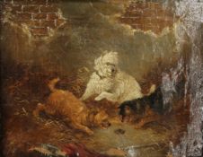 A Victorian oil on canvas, Terriers, indistinctly signed, dated 1887, framed. 24 x 19 cm.