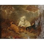 A Victorian oil on canvas, Terriers, indistinctly signed, dated 1887, framed. 24 x 19 cm.