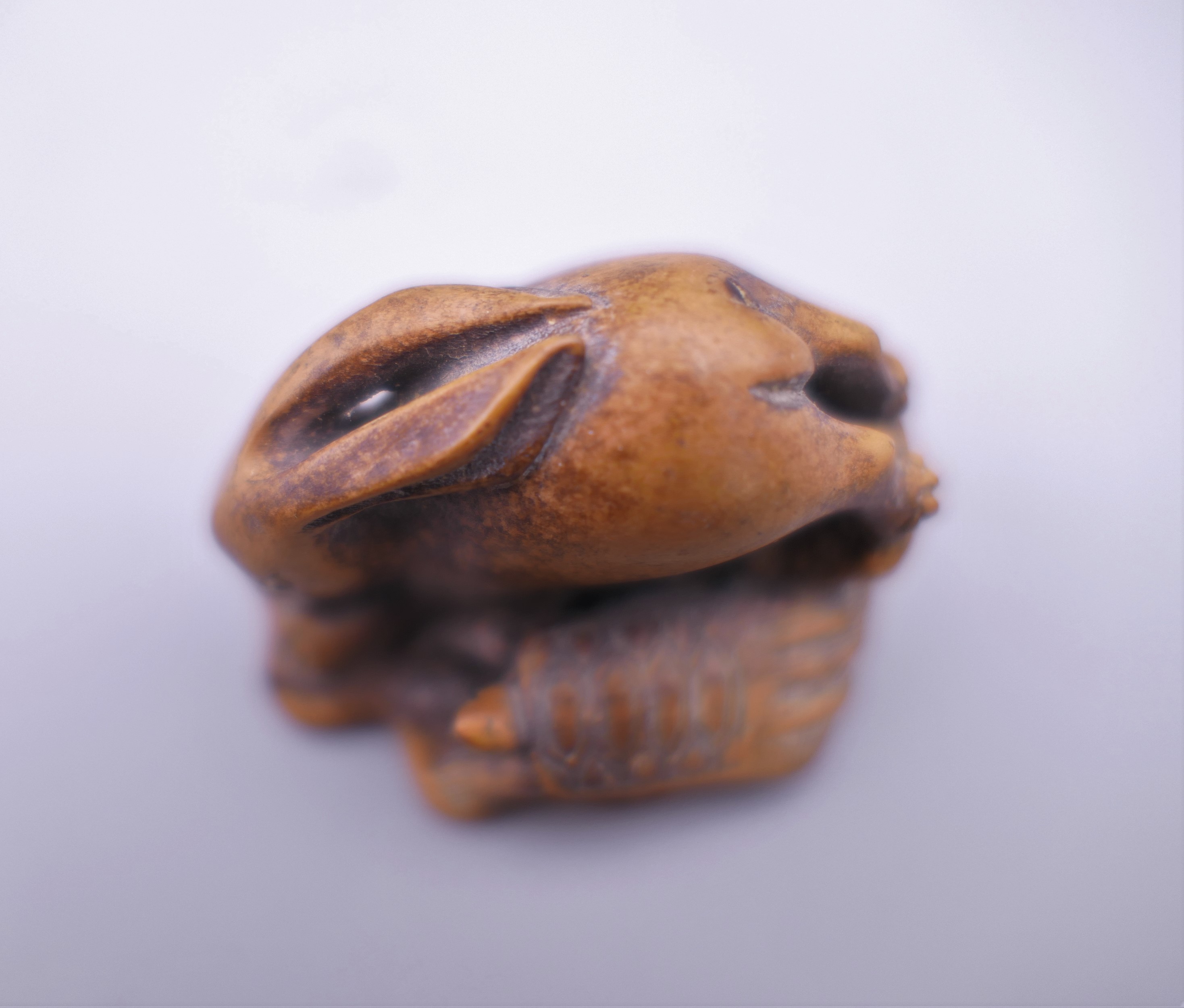 A Japanese hare and tortoise wooden netsuke. 4 cm long. - Image 8 of 8