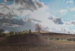 MARGARET GLASS (20th/21st century) British, Early Spring, pastel, signed, framed and glazed.