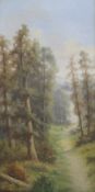 ADA STONE, Forest Path, oil on canvas, signed, unframed. 30.5 x 61 cm.