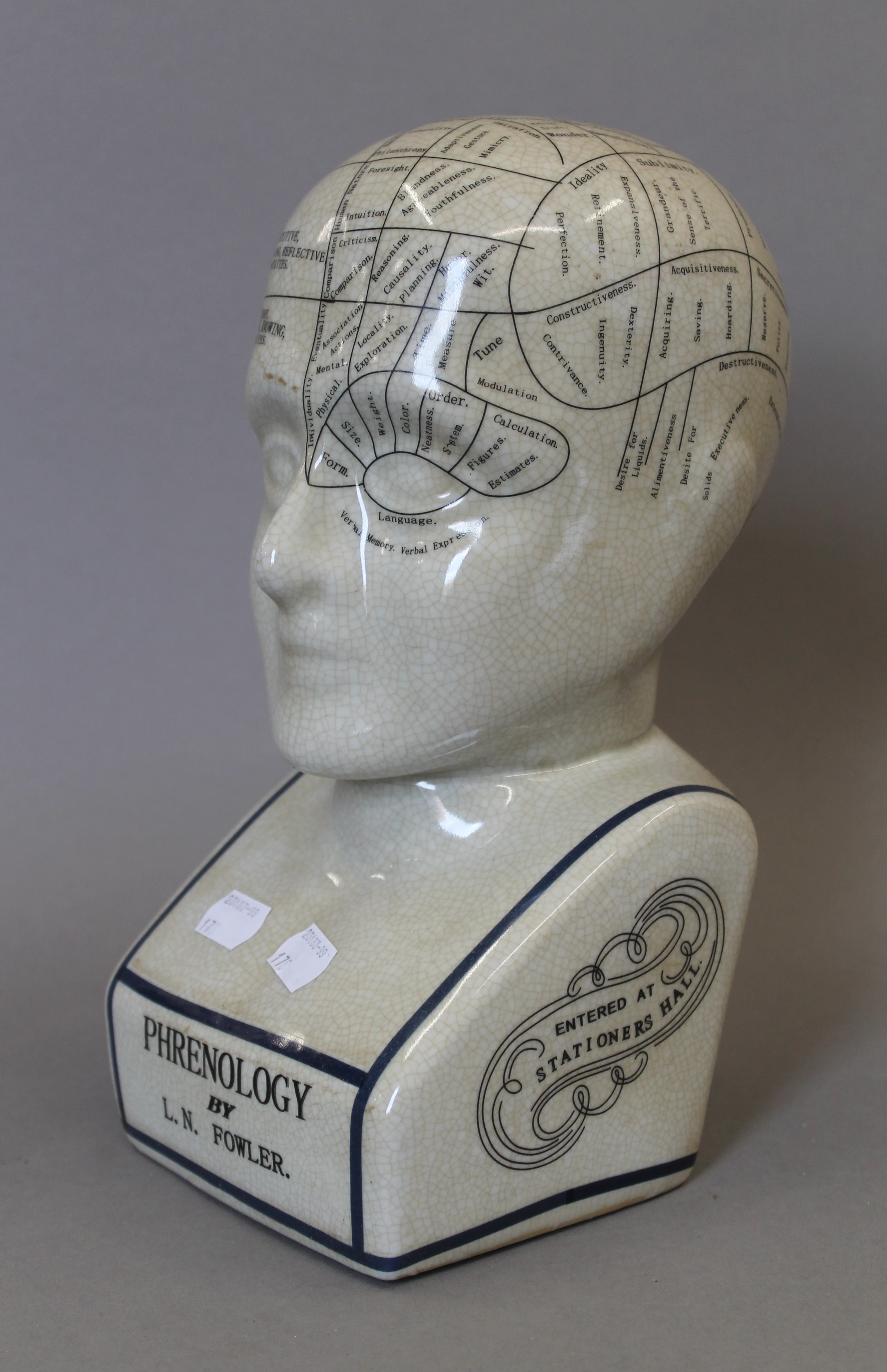 A model of a phrenology bust. 29 cm high. - Image 2 of 3
