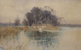 H E FOX, Swans on a River, watercolour, signed and dated 1887, framed and glazed. 55 x 35 cm.