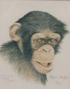 STEPHEN GRAYFORD, Chimpanzee, limited edition print, numbered 1094/1750, signed in pencil,