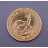 A gold South African 1 rand coin, dated 1976. 4 grammes.