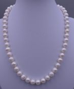 A pearl necklace with a 14 ct gold clasp. 44 cm long.