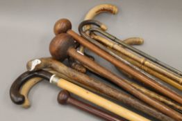 A quantity of various walking sticks.