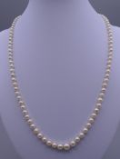 A pearl necklace with a 9 ct gold clasp. 49 cm long.