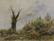 STAN MAWBY, Landscape with Owl in Flight, watercolour, signed, framed and glazed. 46 x 34.5 cm.