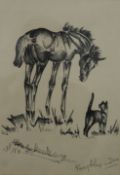 PEGGY ALEXANDER, Horse and Cat, print, signed, framed and glazed. 23 x 32.5 cm.