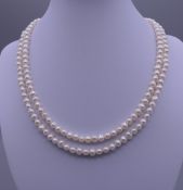 A double strand pearl necklace. 42 cm long.