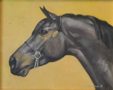 RUSSIAN SCHOOL, A Portrait of a Horse, oil on board, signed SOPOKNH and dated '96, framed.