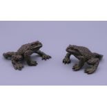 A pair of bronze frogs. 6 cm long, 2.5 cm high.