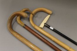 Four various walking sticks.