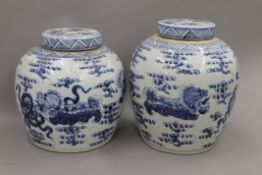 Two Chinese blue and white porcelain ginger jars. The largest 28 cm high.