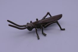 A Japanese bronze model of a locust. 11 cm long.