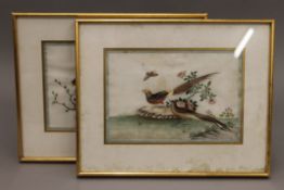 Two Chinese rice paper watercolours, each framed and glazed. Each 21 x 14 cm.