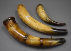 A 19th century horn flask and two further horns. The former 34 cm long.