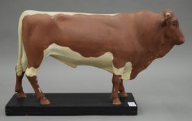 A butcher's shop model of a cow. 55 cm long.