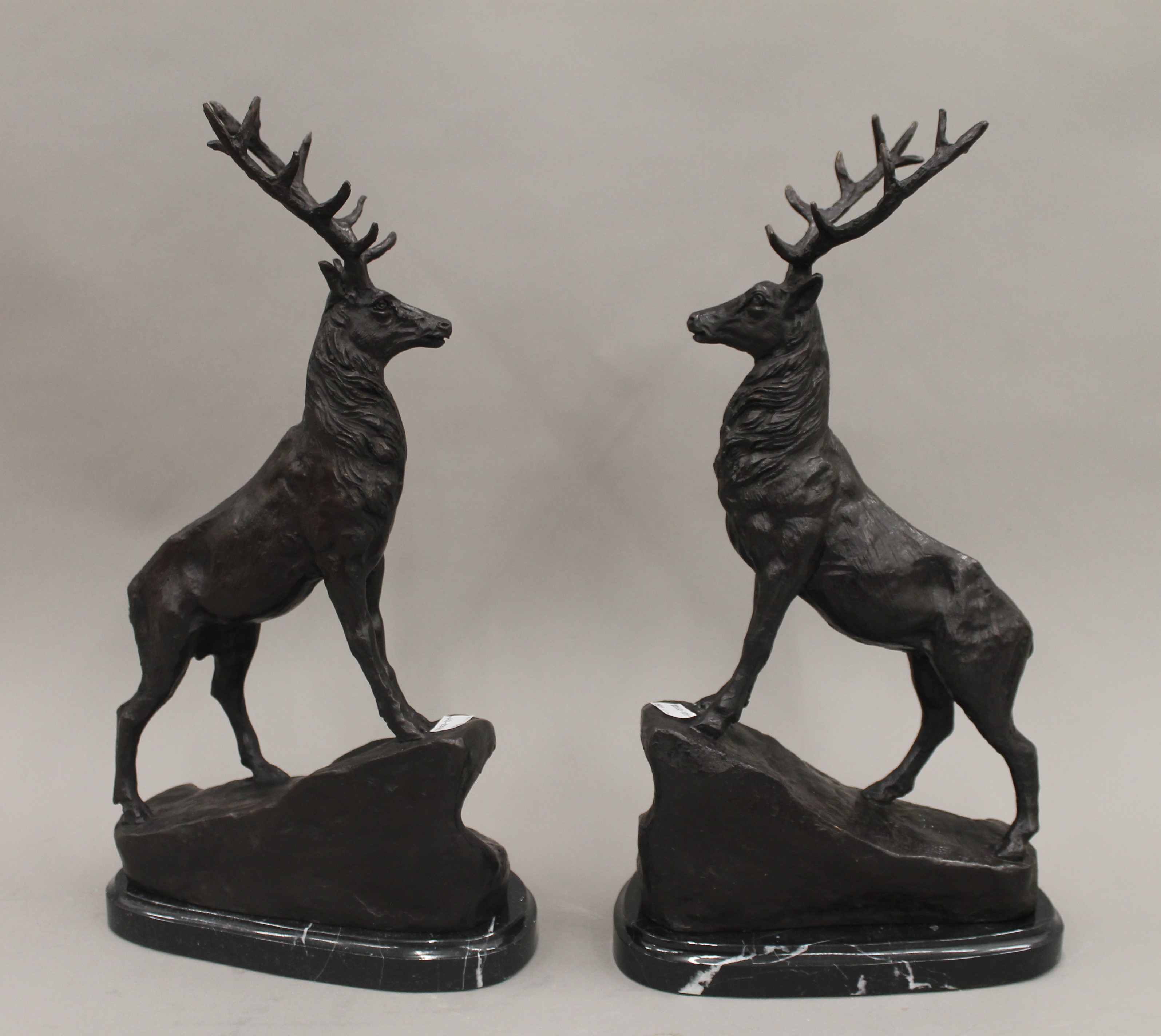 A pair of bronze stags. 42.5 cm high.
