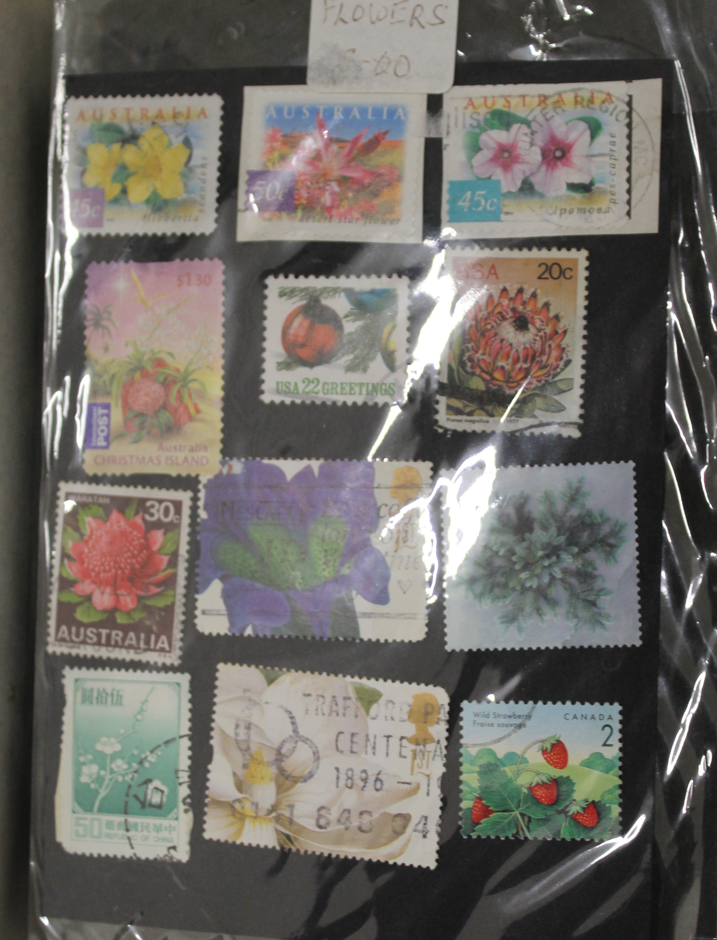 A stamp collection. - Image 7 of 8