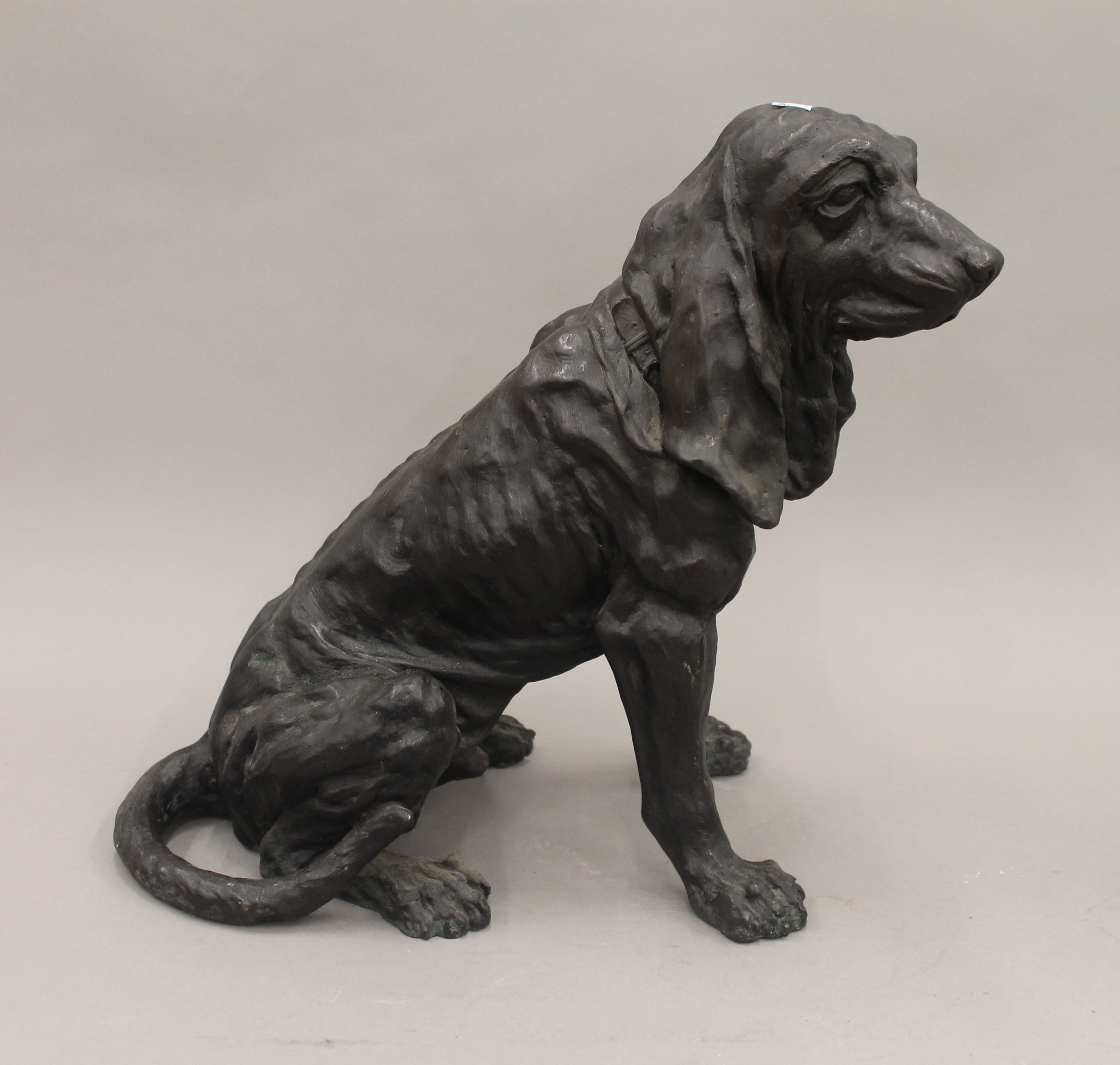 A bronze model of a blood hound. 36 cm high. - Image 2 of 3