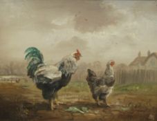 JOHN MACE, Chickens, oil on board, signed with monogram, framed. 21 x 16.5 cm.