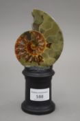 A polished ammonite mounted on a later display base. 18 cm high overall.